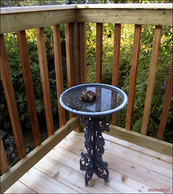 16Birdbath
