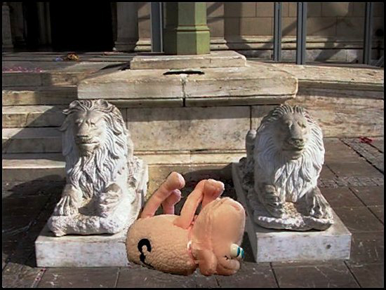 16LionsSleep