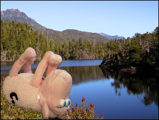 19MountainLakeSleep