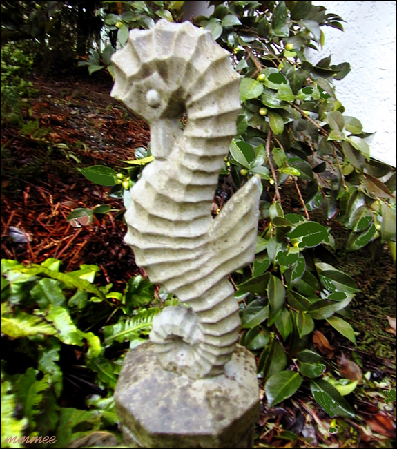 19Seahorse