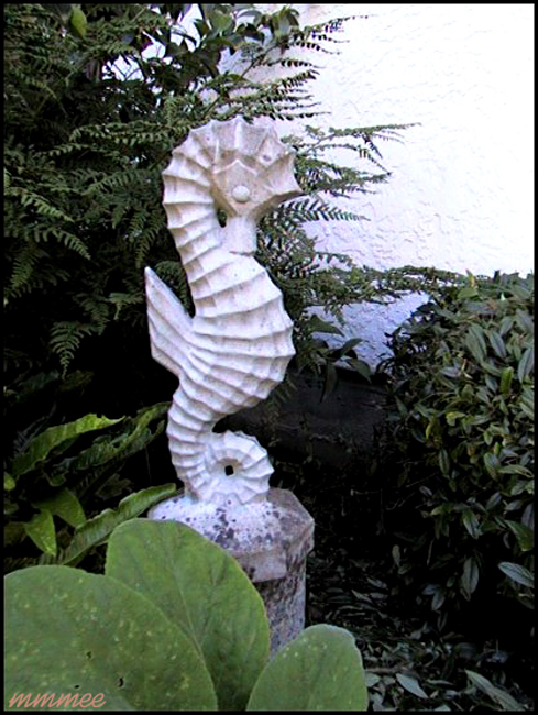 20SeaHorse&Fern