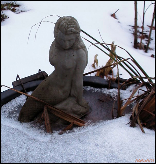 29MermaidInWinter