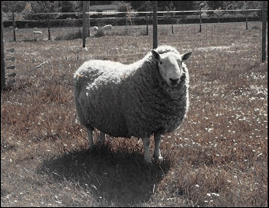 32Ram