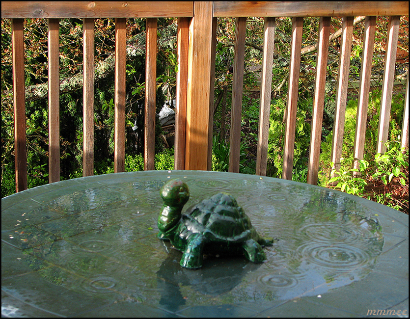 33WaterTable