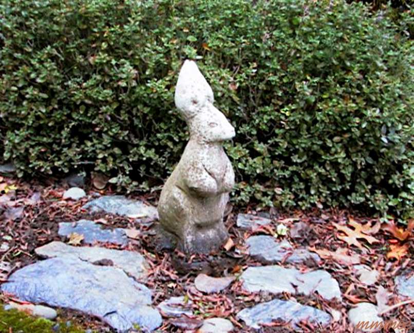 36Rabbit