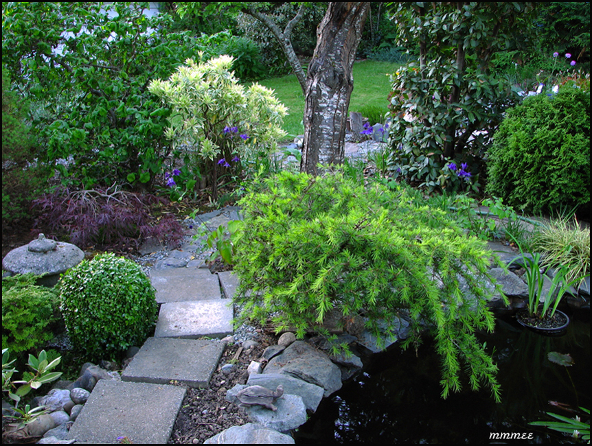 50GardenPathsPondEdge