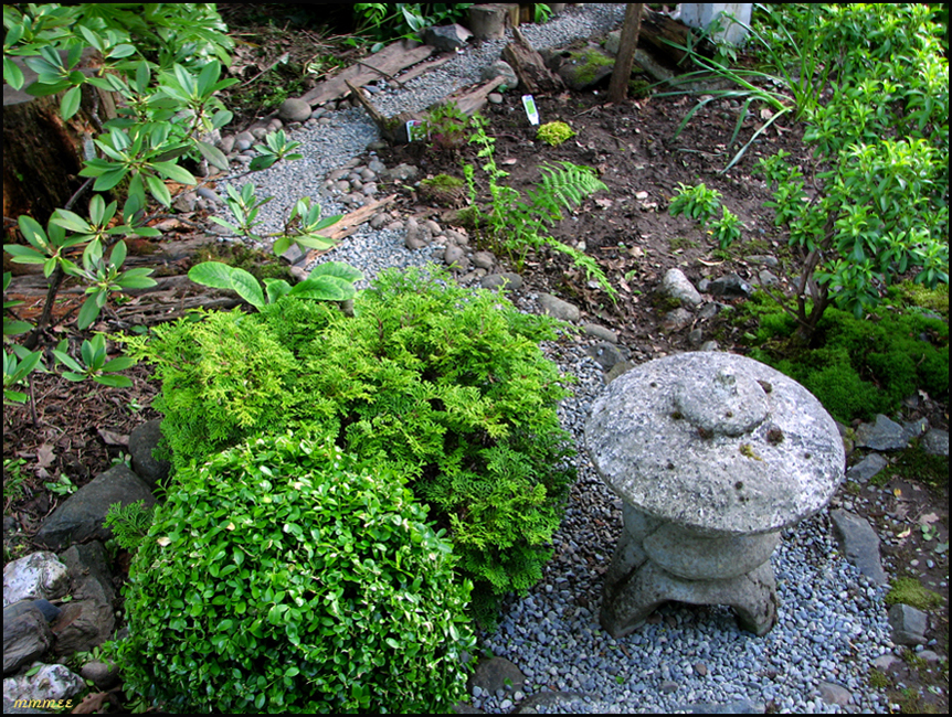 53JGardenMoss