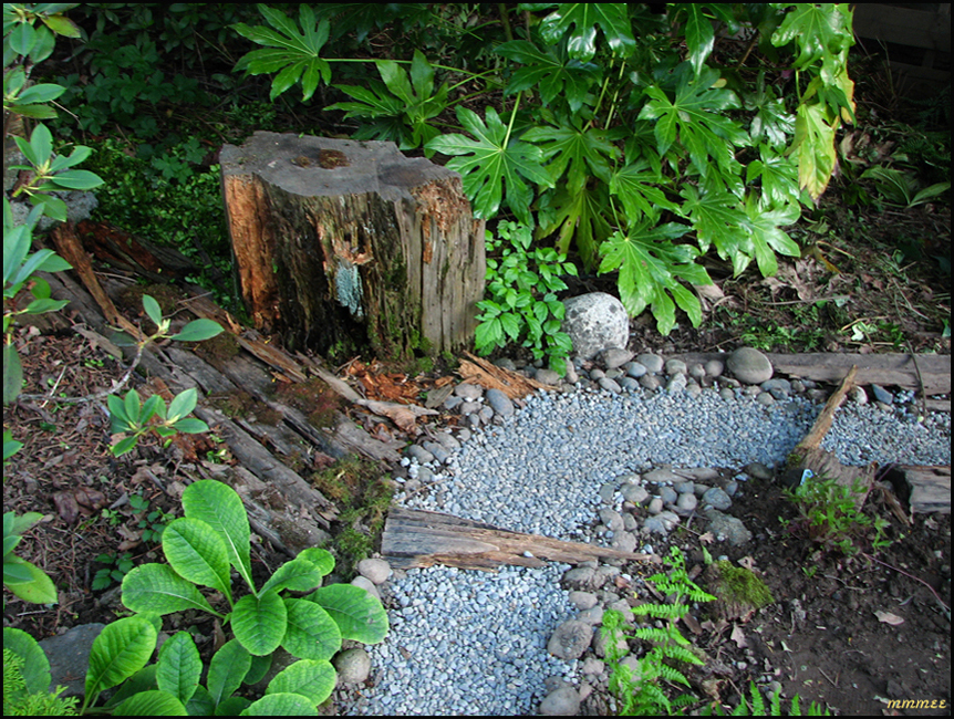 54JGardenStump