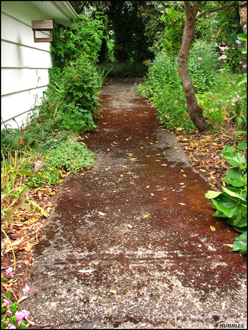 57GardenPathsBesideGarage