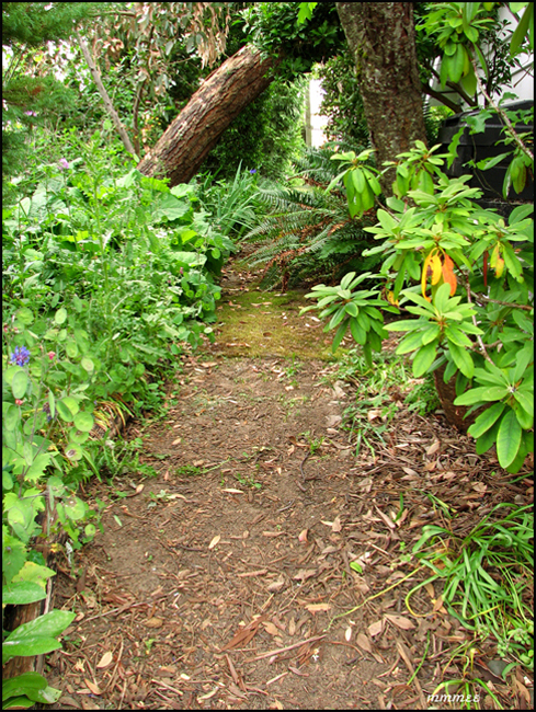 58GardenPathsCompostCorner