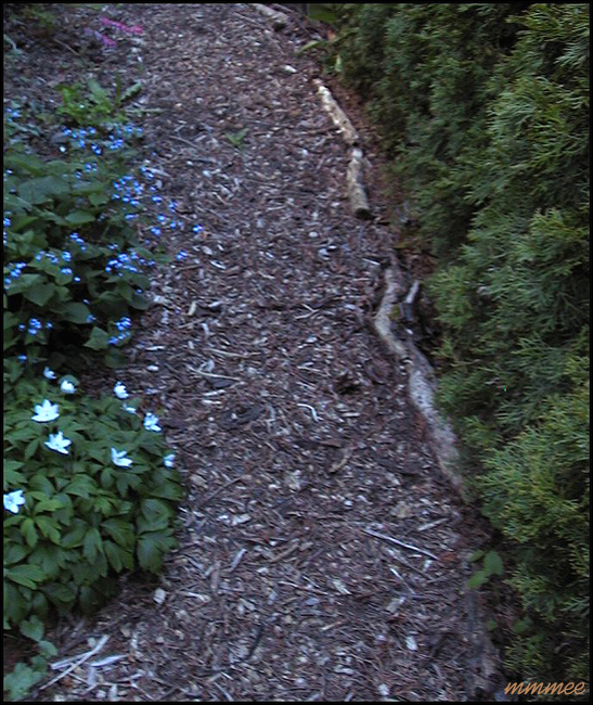61WoodlandPath