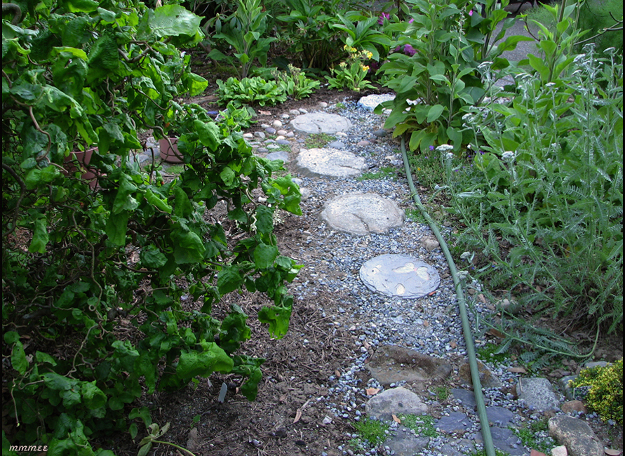 65GardenSteppijnStones