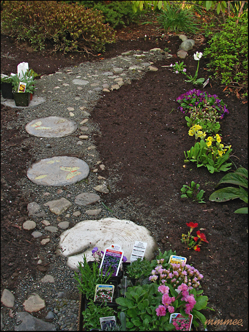 66GradenRenoPrimula
