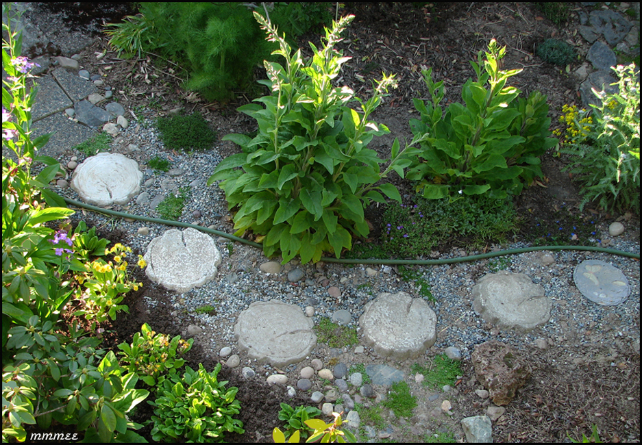 68GardenPathsRoundCement