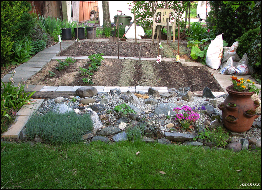 76GardenVeggiePatch