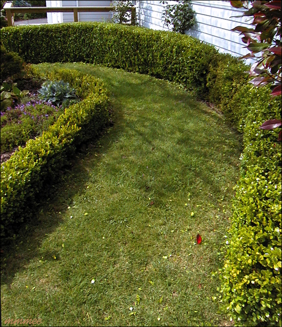 77GrassPath