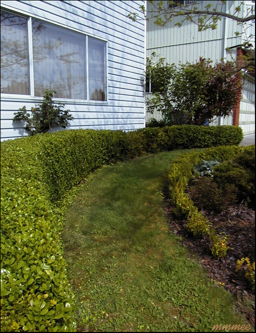 82GrassCurve
