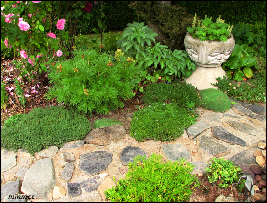 85GardenWestCoastPlanterPath
