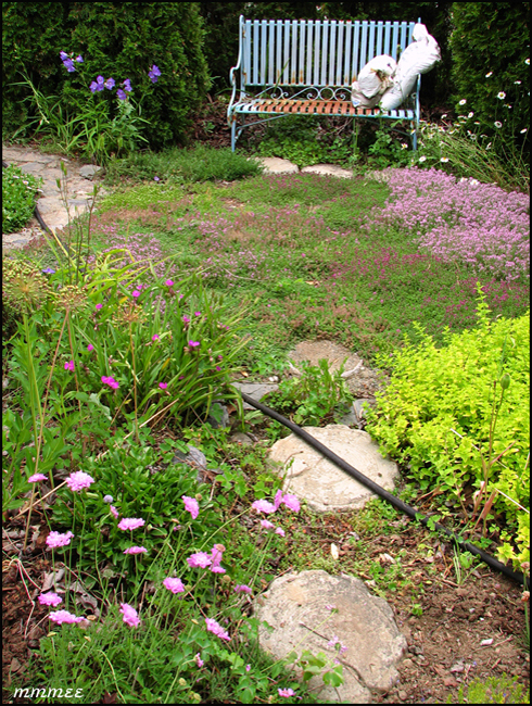 91GardenPathsIntoThymeCircle