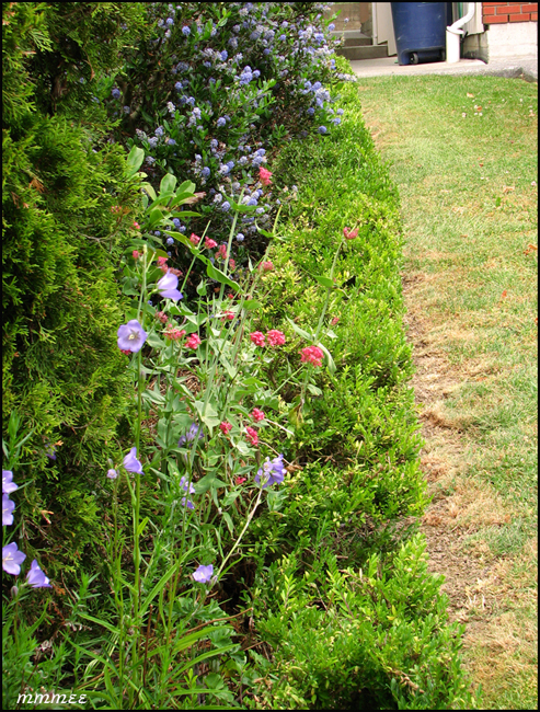 96GardenPathsParmarStrip