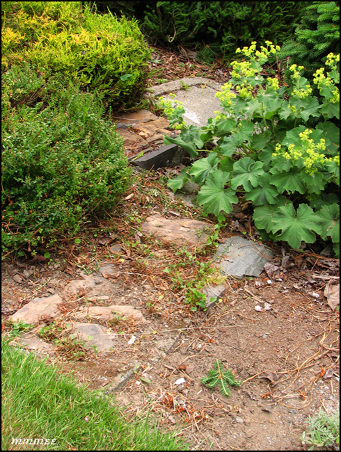 97GardenPathsWaterMeter