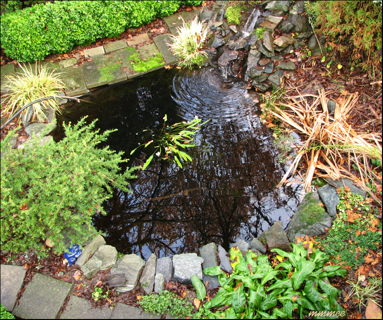 98WaterGardenPath