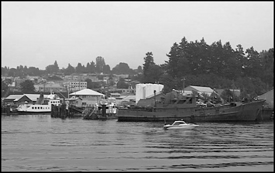 AlberniWaterfront