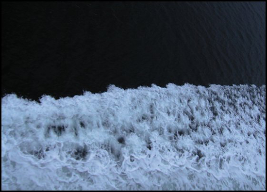 Calm&Froth