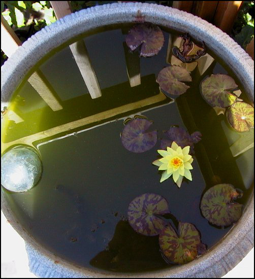 DeckTub