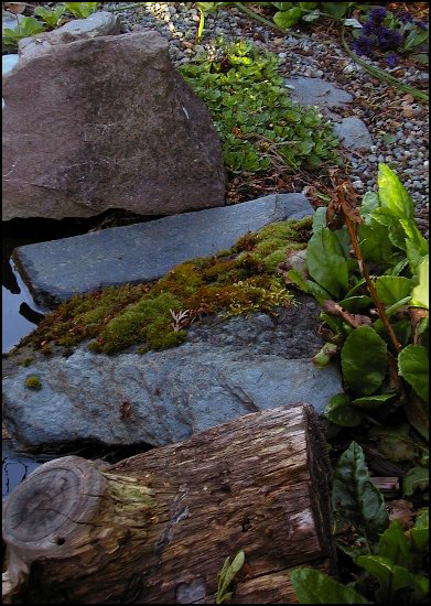 EdgingApril2006