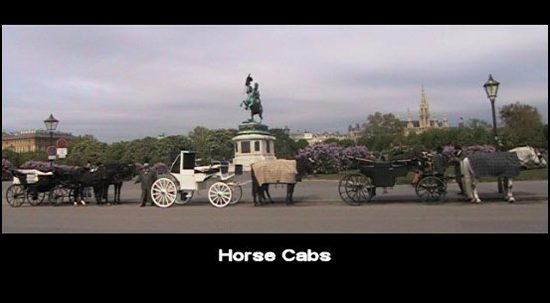 HorseCabs