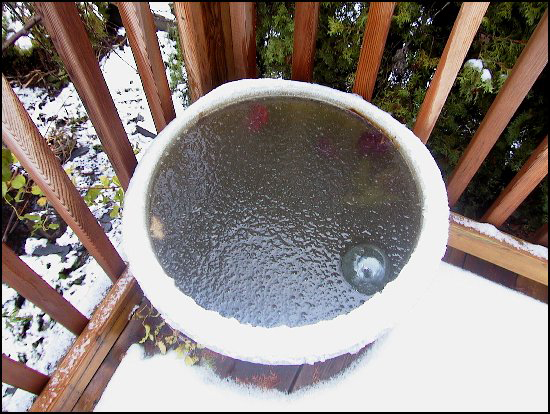 PondSnow