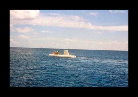 Submersible