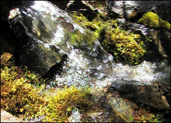 WaterfallMossy