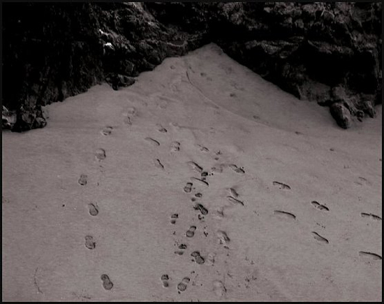 fFootprints
