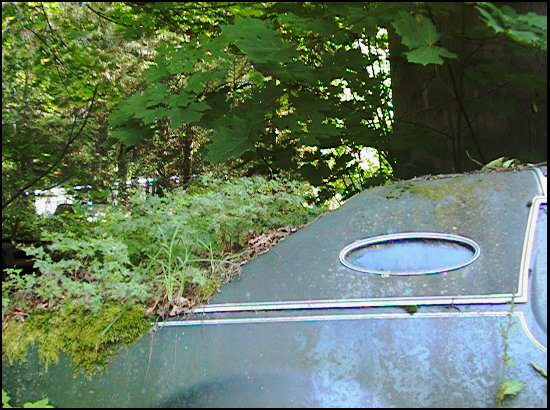rirCarWindow