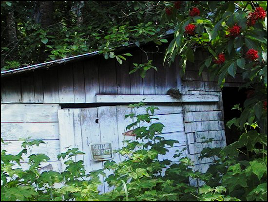 rirCottageForRent