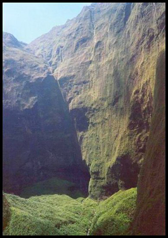 yMountainSide