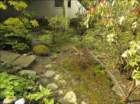 ap36f_small.jpg