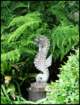 theseahorseandferns_small.jpg