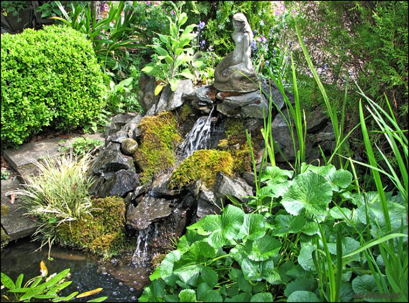 waterfallwithmermaid.jpg