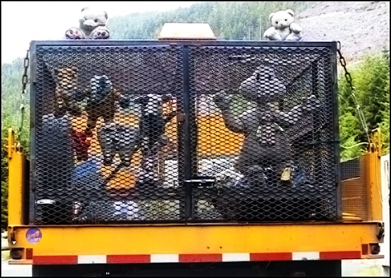 ni172.jpg